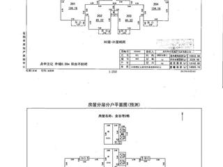 金谷灣2棟商品房預(yù)測報告書