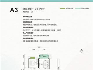 水韻巴陵（DADA的水岸）戶型圖3