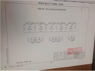 君山三角坪綜合開發(fā)項(xiàng)目（合眾·領(lǐng)島）Ｃ43