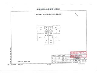 君山三角坪綜合開發(fā)項目（合眾·領(lǐng)島）A172