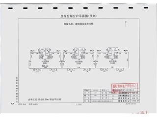 岳陽碧桂園花語岸10棟6