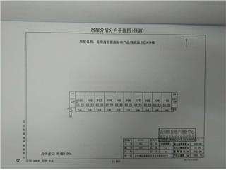 岳陽海吉星國際農產品物流園A143