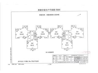 洞庭湖國(guó)際公館H地塊洞庭湖國(guó)際公館H地塊H6棟5