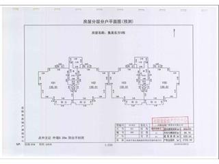 金科·集美東方6棟3