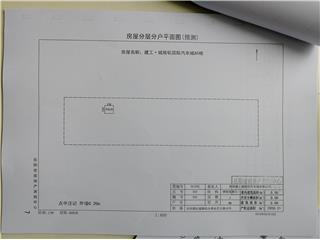 城陵磯國際汽車城A53