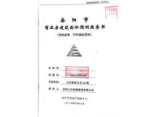 大漢新城大漢新城B區(qū)44棟9