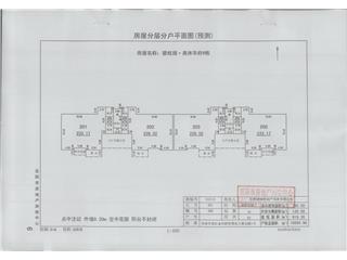 碧桂園奧體華府碧桂園·奧體華府星悅郡9棟2