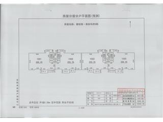 碧桂園奧體華府碧桂園·奧體華府星悅郡9棟5