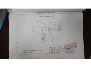 恒金國際中心7棟6