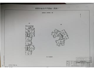 豐薈萃園第1棟3號塔樓1棟3號10