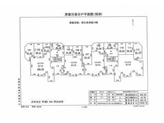 恒大未來城13棟1