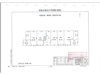 碧桂園奧體華府碧桂園·奧體華府紫熙臺(tái)13棟1